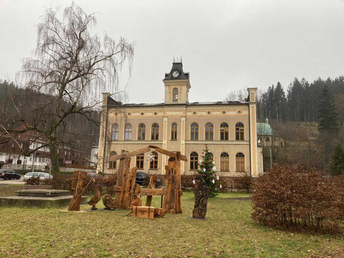 Apartman Hopi Hopi Svoboda nad Úpou エクステリア 写真