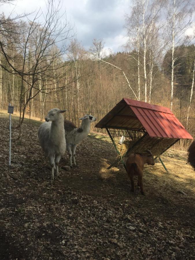 Apartman Hopi Hopi Svoboda nad Úpou エクステリア 写真
