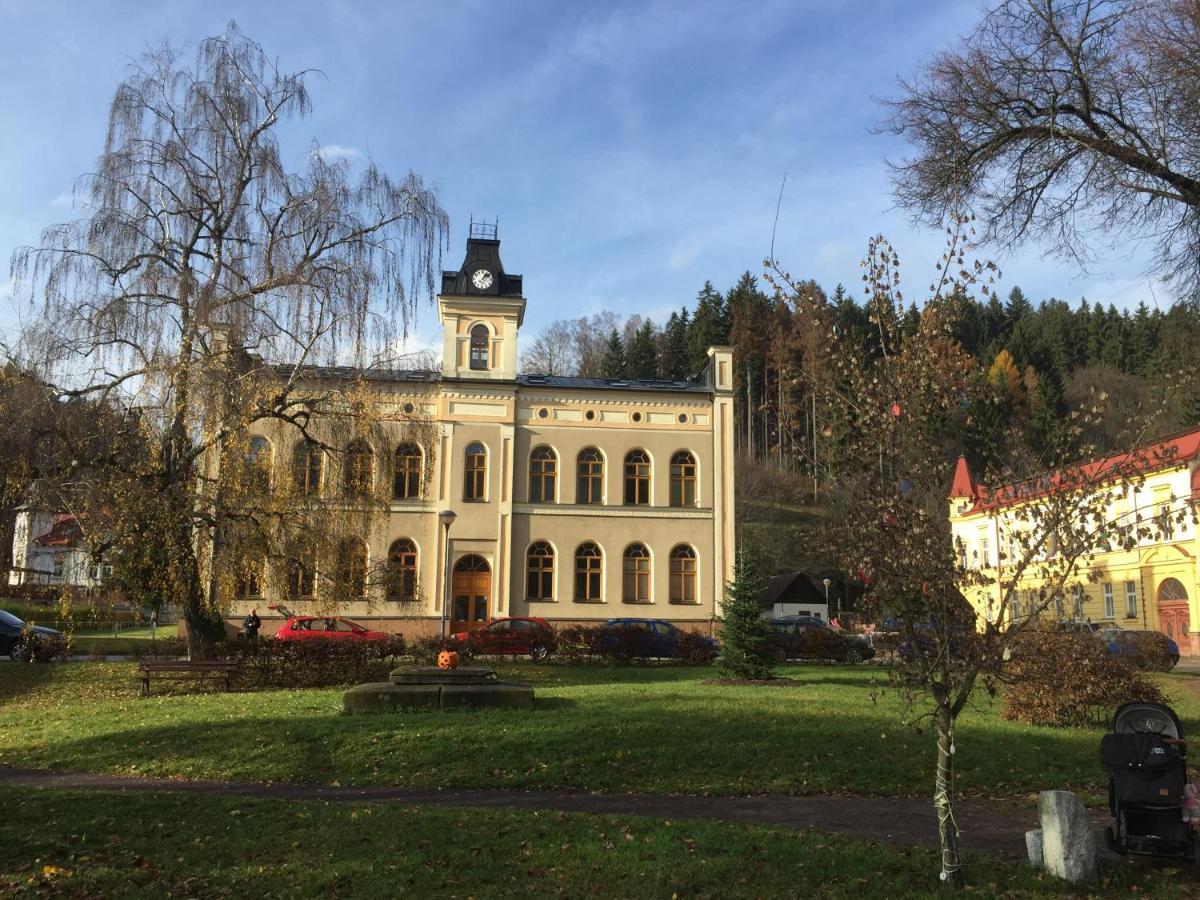Apartman Hopi Hopi Svoboda nad Úpou エクステリア 写真