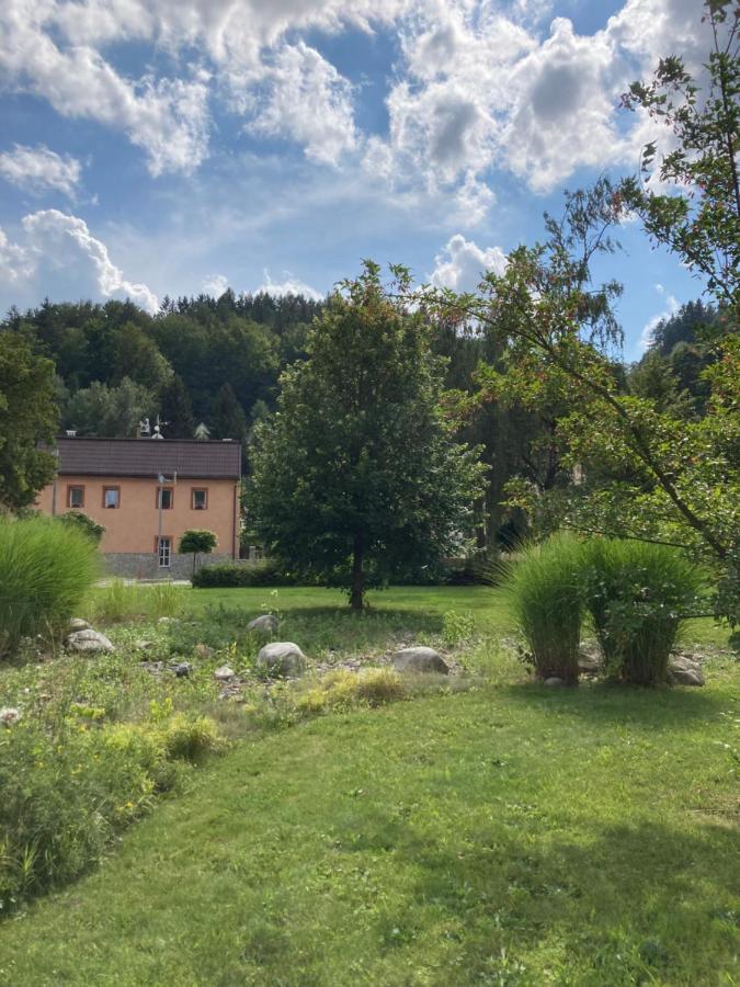 Apartman Hopi Hopi Svoboda nad Úpou エクステリア 写真